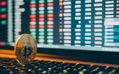 An Investor’s Guide to Crypto Volatility: Navigating Turbulent Markets